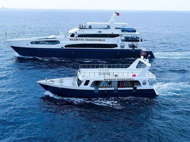 Maldives Aggressor II