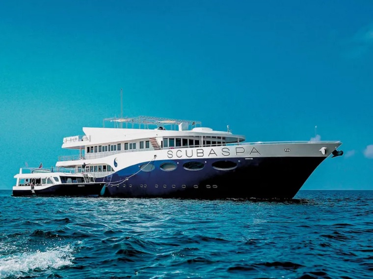 Scubaspa Yin, Maldives